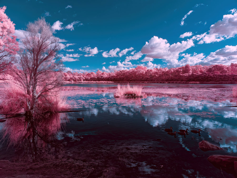 Glenbrook Lagoon Infra-Red