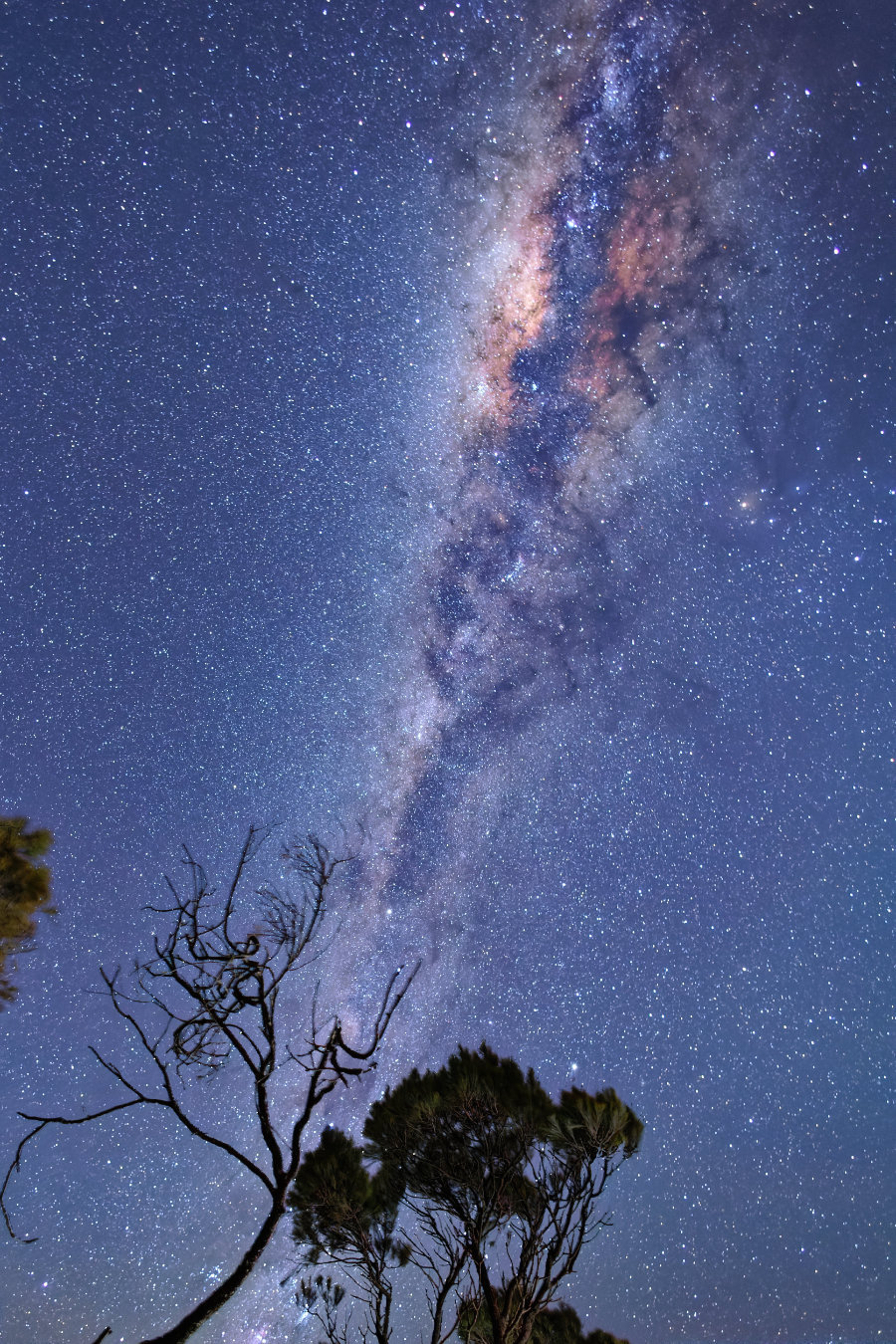 Milky Way, Leura