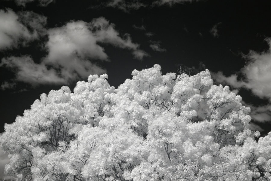 Infra-Red Canopy